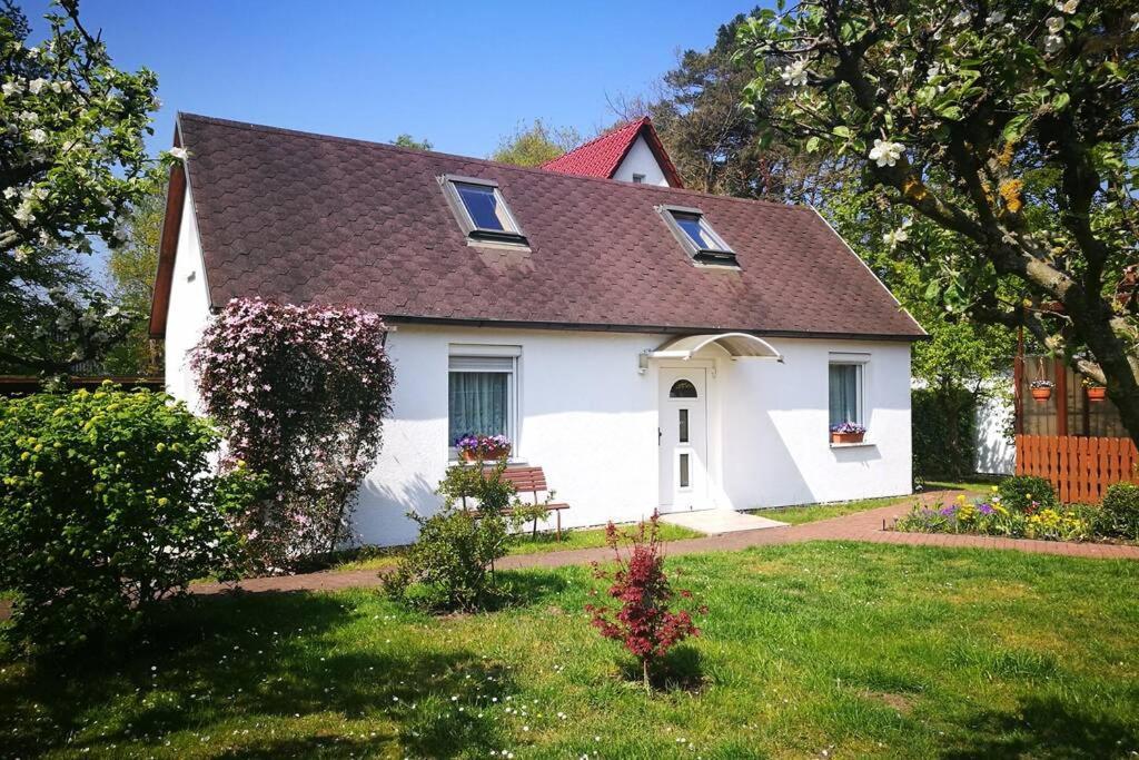 Ferienhaus im Igelbau Baabe Exterior foto